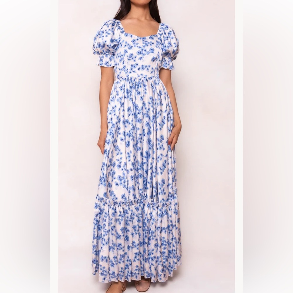 NWT IVY CITY CO blue floral wonderland dress 4x